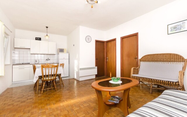 Apartment Branka