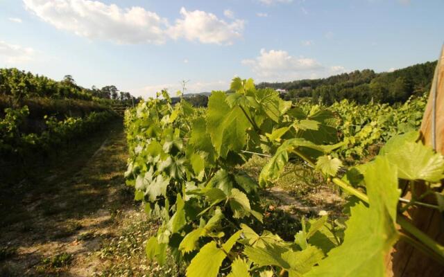 Quinta d'Areda Wine&Pool Experience