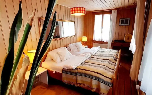 Spectacular Swiss Experience