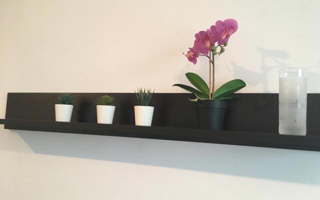 St. Anastasia Apartments