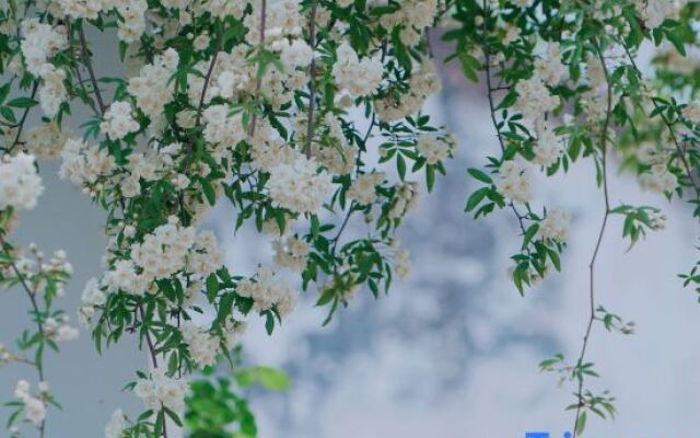 Rixie Linxi Guesthouse