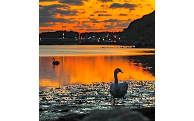 Yukinoura Guest House Moritaya - Vacation STAY 88418v