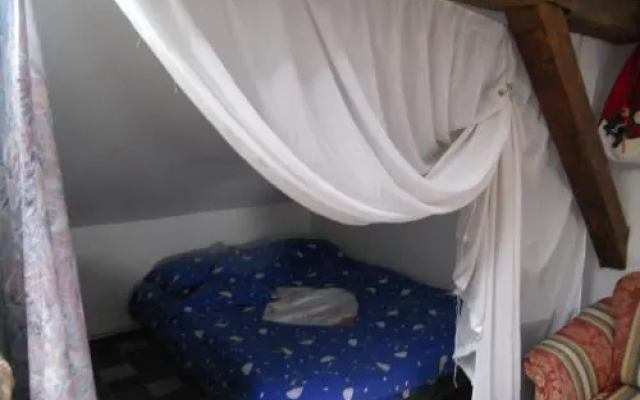 Cuibul Salamandrelor