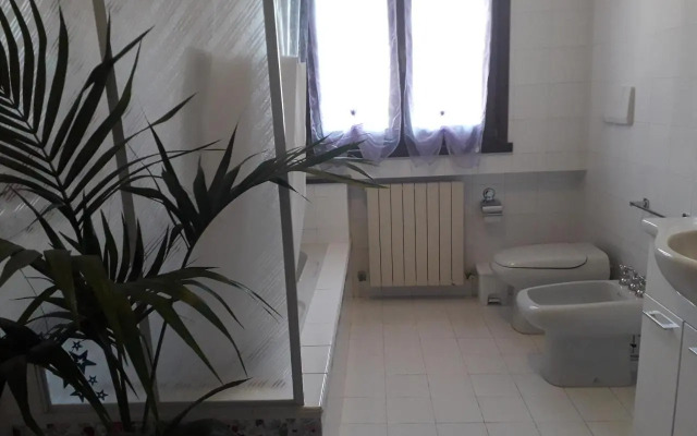 Le 3 Camelie Malpensa