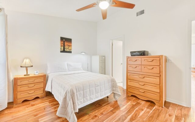 Latrium 2779 by Vtrips