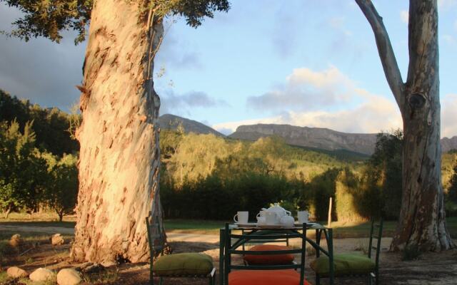 Calais Wine Estate