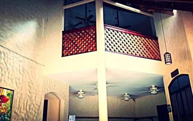Palapa Hut Hostel & Camping