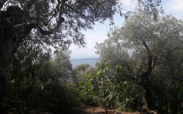 Villa Imelda