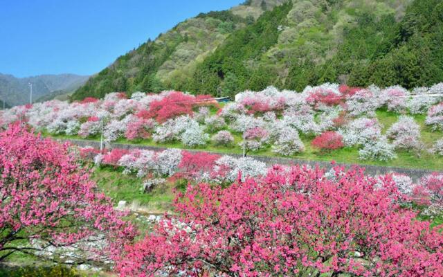 Oogute Kohan Shirasagi So