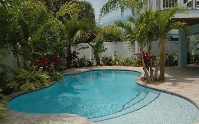 Sand Dollar by RedAwning