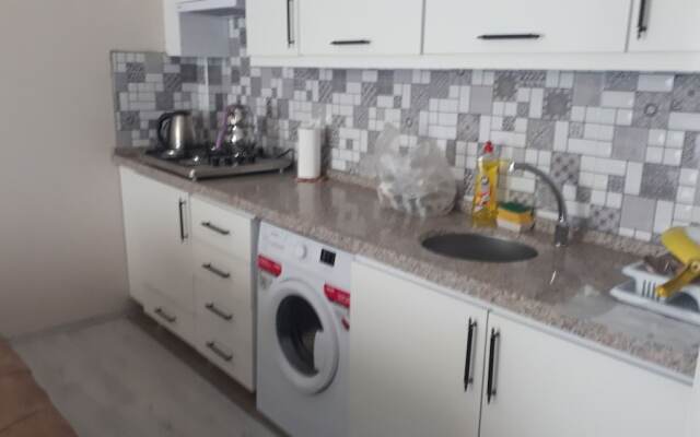 Geyikli günlük daire3