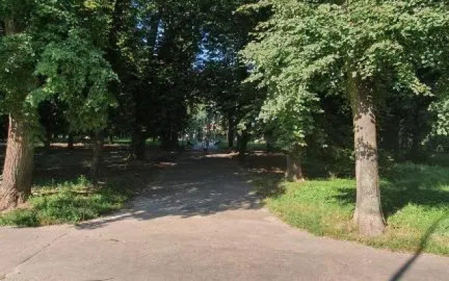 Apartament Park Saski