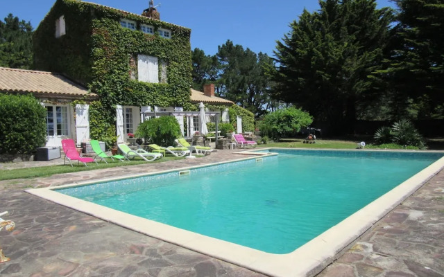 Les galets de Cayola