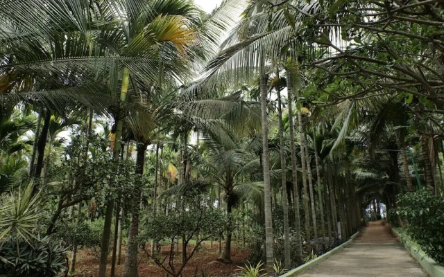 TheLemoura