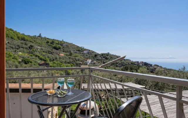 Sky Blue Guesthouse