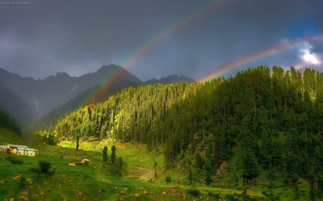 Shelton's Rezidor Swat