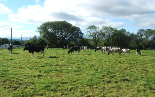 Drumville House Self Catering