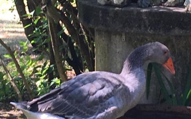 Zen au Marais Hammam Massages