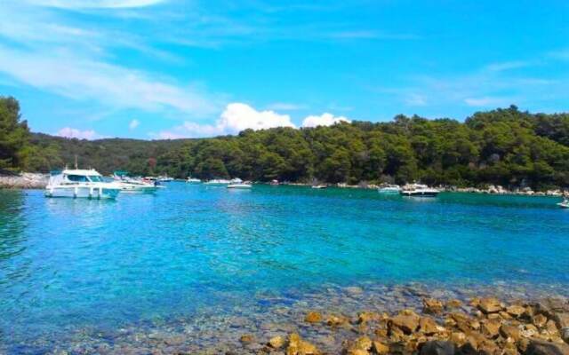 Fantastic House Near to the Beach