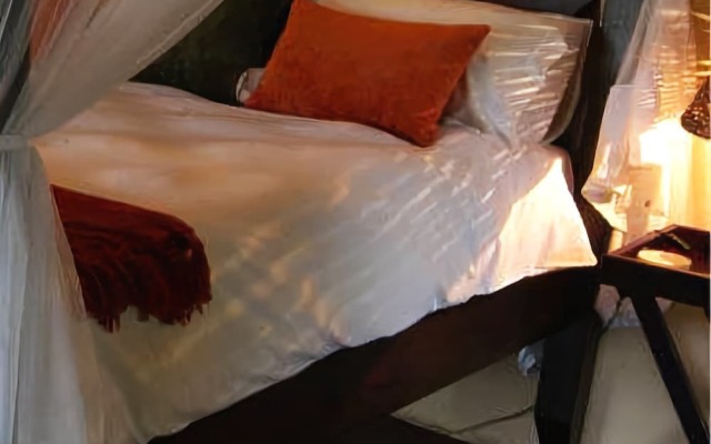 Plettenberg Bay Game Reserve
