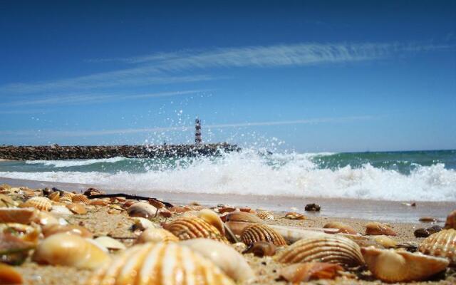 Alameda Apartment by My Choice