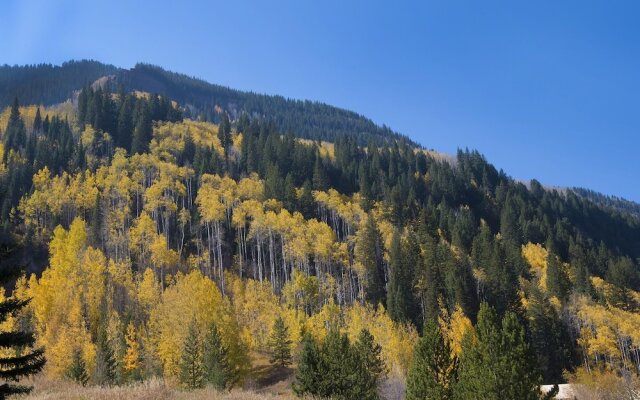Timberfalls 1905 3 Bedroom Condo by RedAwning