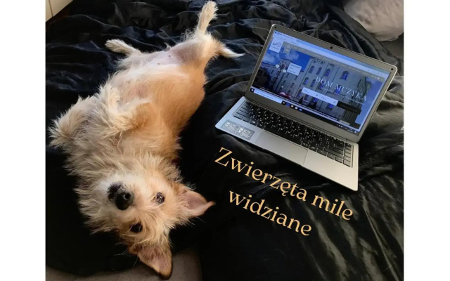 Dom Muzyka