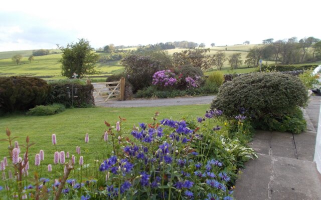 Bluebell Bank