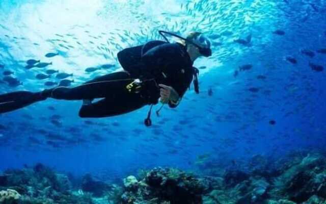 Buganvilia do Meco B&B