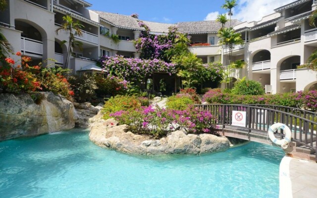 Bougainvillea Barbados