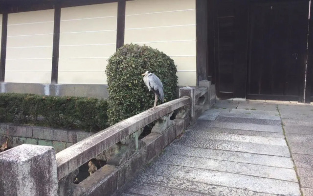 五条 IVY Apartment