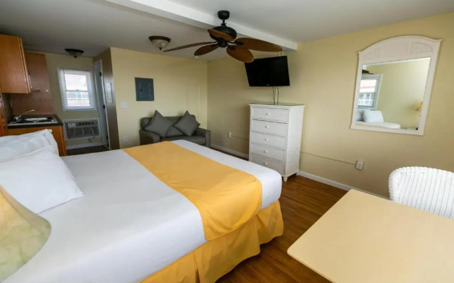 American Safari Motel