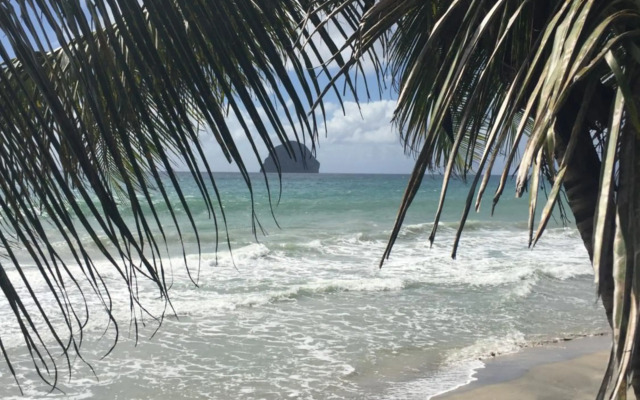 Superbe appartement T2 résidence sécurisée