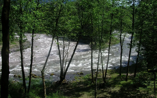 Sandy Salmon Bed & Breakfast Lodge