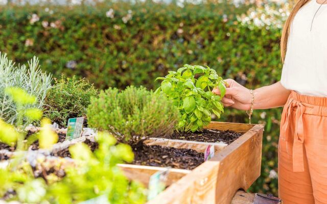 greet Hotel Bordeaux Aeroport