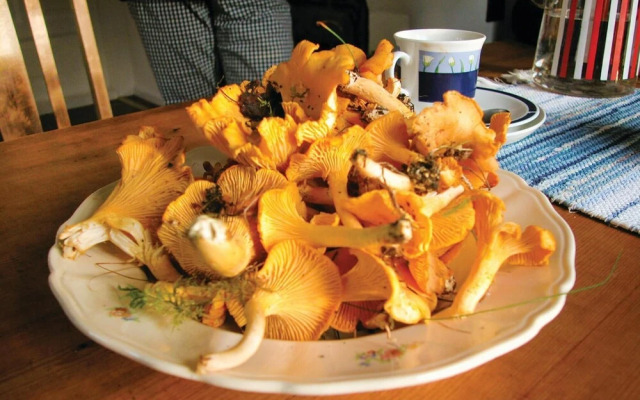 Awesome Home in Ed With 2 Bedrooms and Wifi