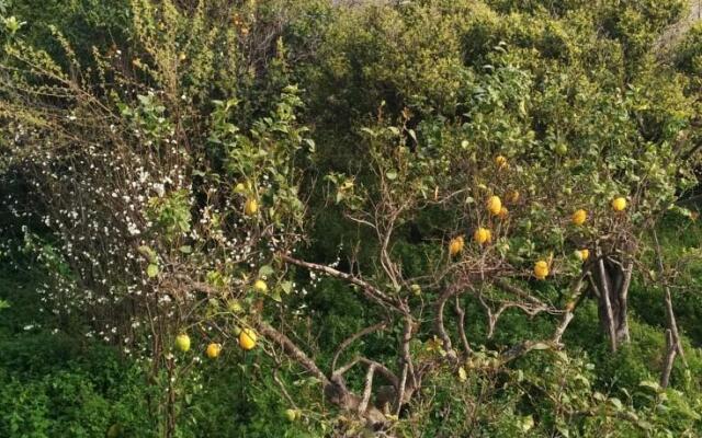 Appartamento Privato A Procida