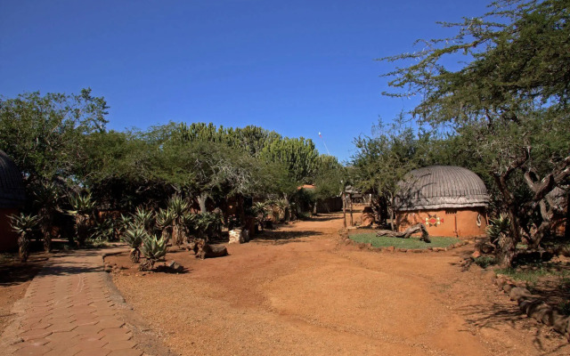 aha Shakaland
