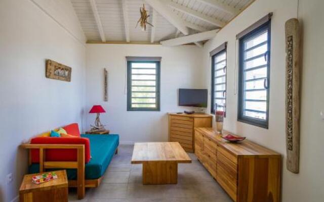 Villa Iguane House