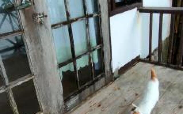 Paseo Del Mar Dive Resort