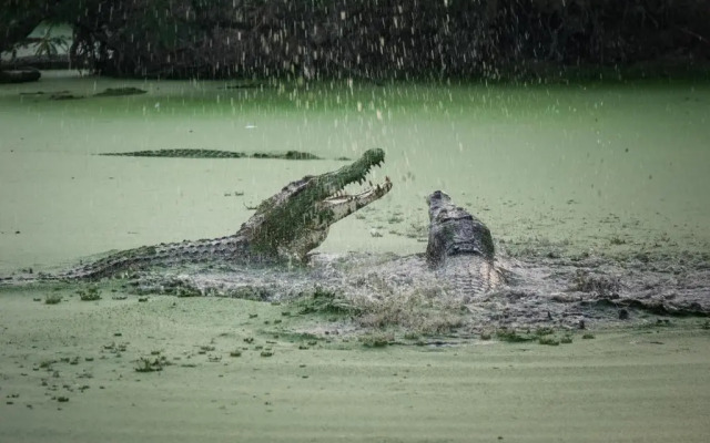 RedDoorz Plus near Universitas Sumatera Utara