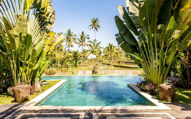 Hati Padi Cottages