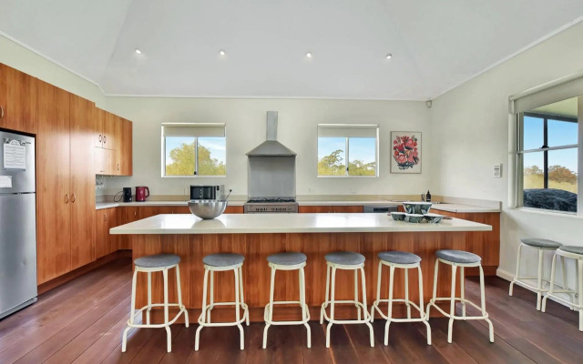 Olives and Vines at Majors Lane