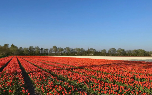RiverSide Suite - Haarlem City Centre