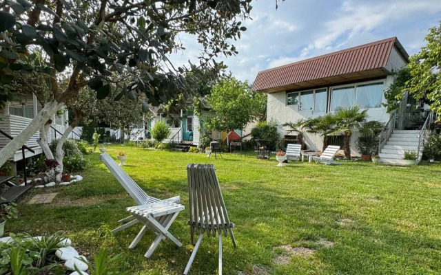 Mozaika (с. Лдзаа)