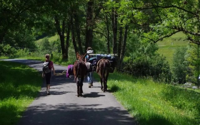 Charming Apartment in Ardennes
