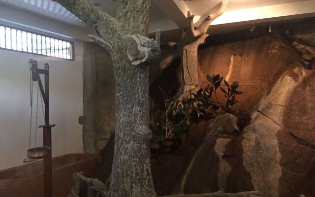 Rainforest Lodge
