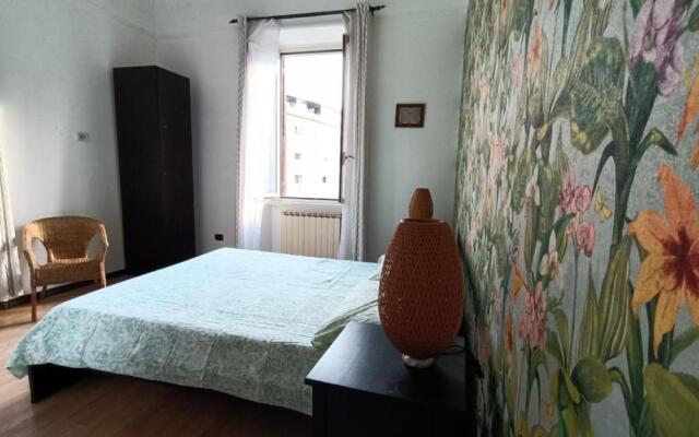 Colosseo Kokedama rooms