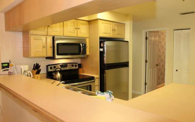 Beach Palms 505