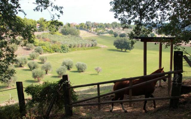 Glamping Poggio Imperiale Marche